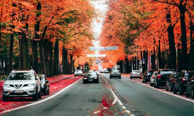 City Verkehr Hamm: Effiziente Mobilität für alle